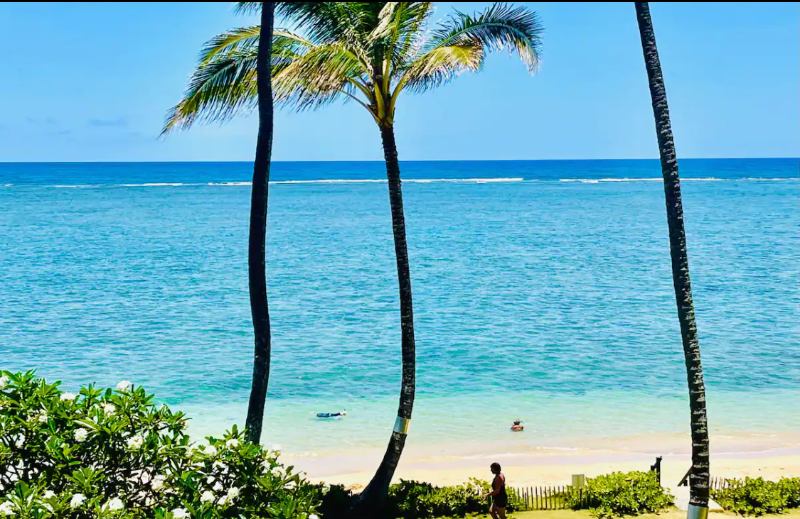 Primary Photo - 53-567-567 Kamehameha Hwy