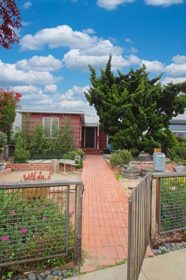 Building Photo - Beautiful 3 BD, 2 BA Home in Bird Rock fea...