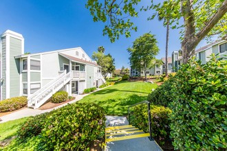 SYCAMORE GREENS APARTMENT HOMES Photo