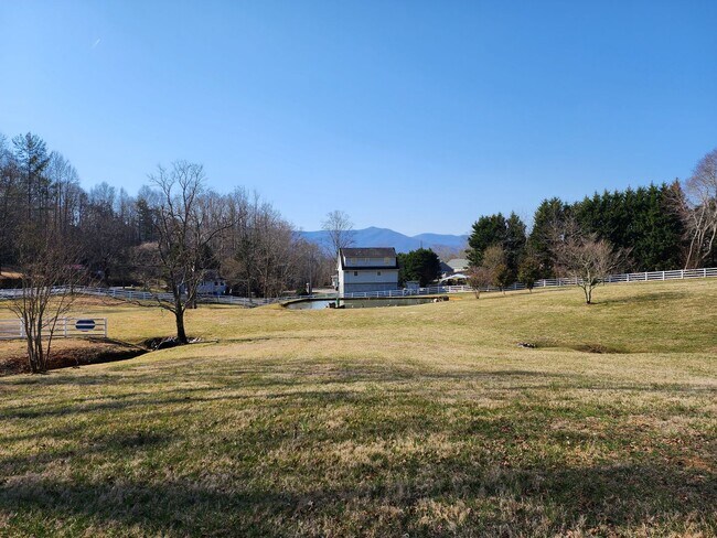 Building Photo - Black Mountain Rental!