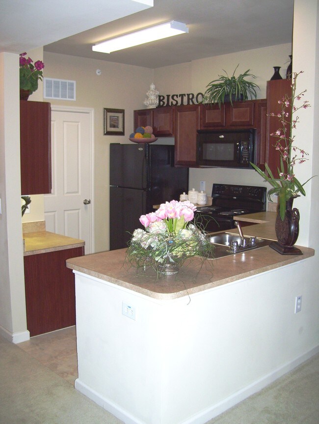 Bella Vista Apartments Gainesville, TX