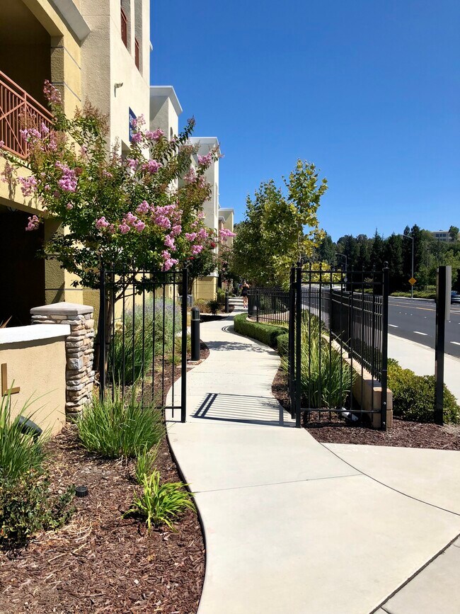 Foto del edificio - 4720 Norris Canyon Road