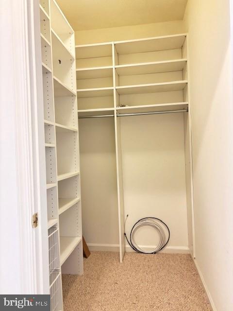 Foto del edificio - 1708 Lake Shore Crest Dr