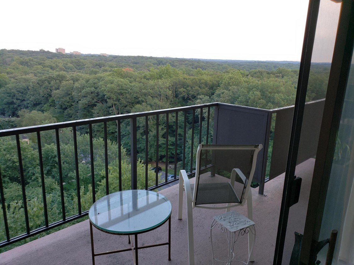 6100 Westchester Park Dr, College Park, MD 20740 Condo for Rent in