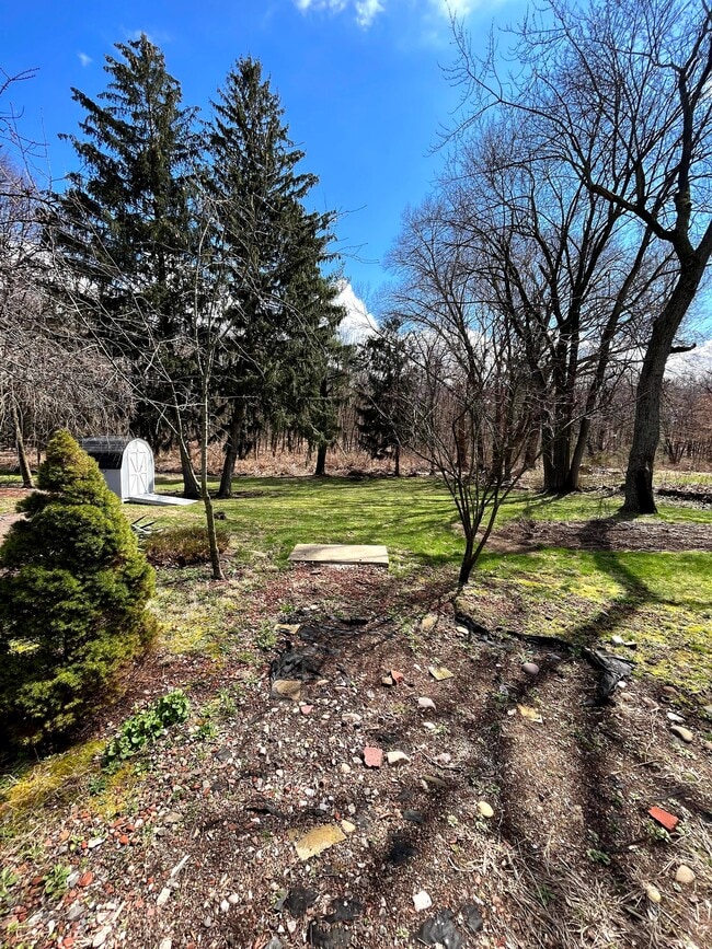 Backyard Garden - 218 Charter Oak St