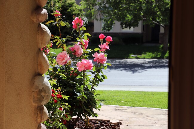 Foto del edificio - 6406 Emperor Ct