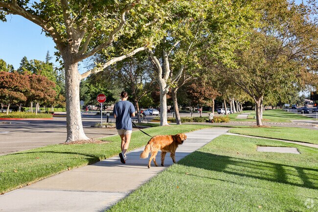Mission Hills is a dog's friendly neighborhood.