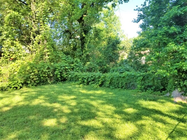 Building Photo - 15 Lynhurst Dr