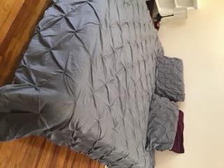 Bed - 819 Longwood Ave
