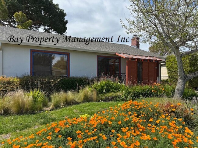Foto del edificio - Charming 3 bedroom 2 bath home in South Sa...