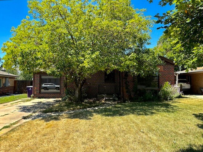 Foto del edificio - Cute Park Hill Ranch