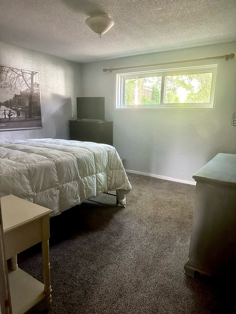 Photo - 3634 Alpine Pl (Colorado Springs, CO)