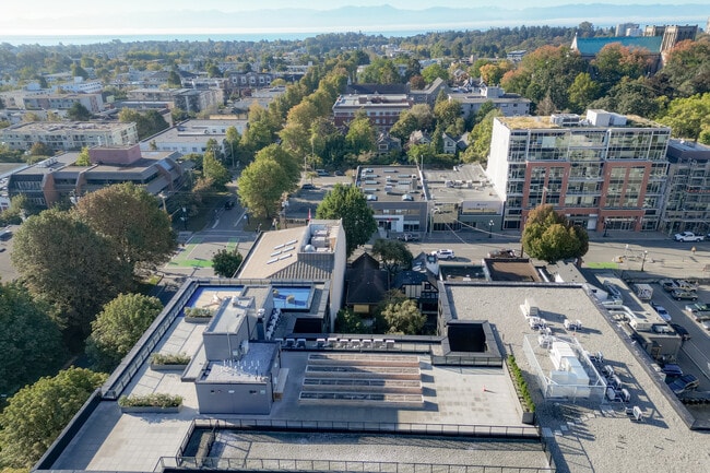 Rooftop - Raven Apartments