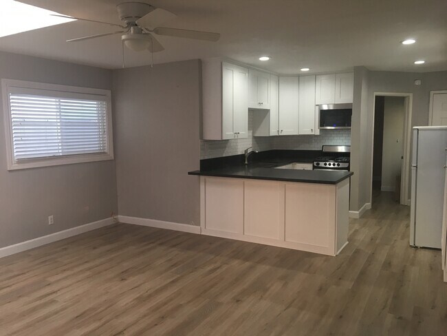 Building Photo - Amazing 1 bedroom unit in San Clemente!