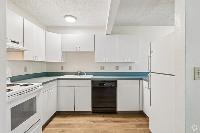 2BR, 1BA - 1,200SF - Kitchen - Dakotas Apartments