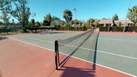 This outdoor tennis facility offers a classic hard court setup designed for both recreational and competitive play. The court features a gray playing surface accented by bold red surrounds, with crisp white line markings and a regulation-height net centered at mid-court. The spacious run-off areas on all sides provide ample room for players to move freely during matches.

The facility is enclosed by a green chain-link perimeter fence, with ivy and dense hedgerow plantings along the boundaries that offer a natural privacy buffer and a lush, verdant backdrop. Tall sports lighting poles are positioned around the court, ensuring excellent visibility for evening play. The open-air setting is further enhanced by a canopy of mature trees — including towering pines and palms — that frame the space and provide partial shade near the sidelines.

The surrounding landscape enjoys clear sightlines to a mountain range in the distance, adding a scenic quality to the overall experience. Under open skies, the court basks in abundant natural sunlight throughout the day, creating an inviting atmosphere for players of all skill levels. The combination of practical amenities, thoughtful landscaping, and pleasant surroundings makes this a well-appointed tennis destination.