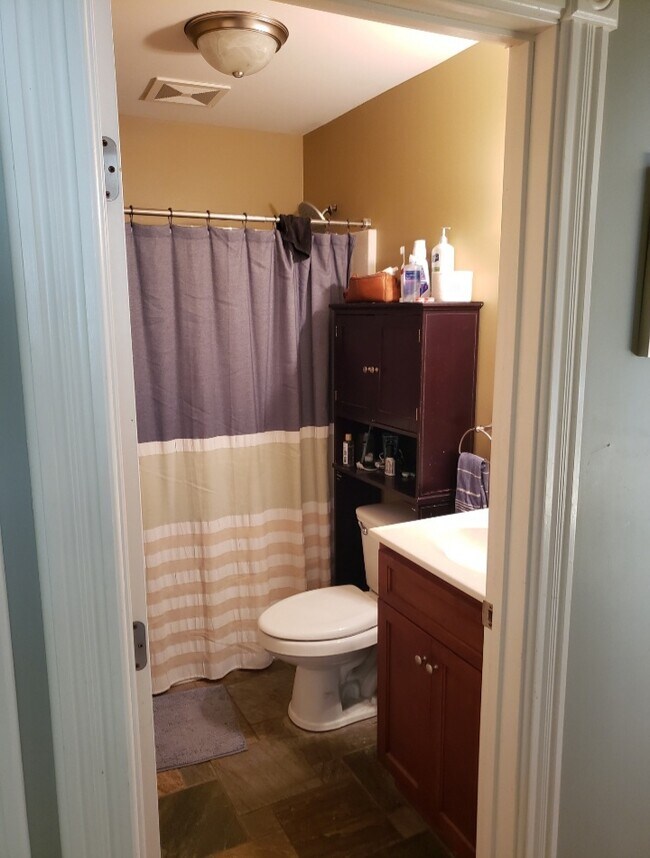 Full Bath - 646 Adams St NE