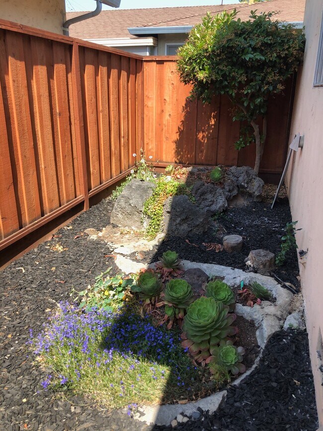 Garden area - 161 Locksunart Way