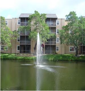 Pond - Royal Palms at Lauderhill