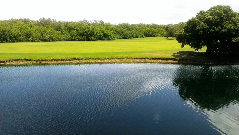 Primary Photo - 2333 Feather Sound Dr