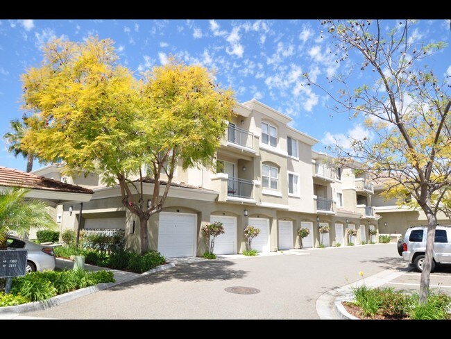 Building Photo - Canyon View Apartments