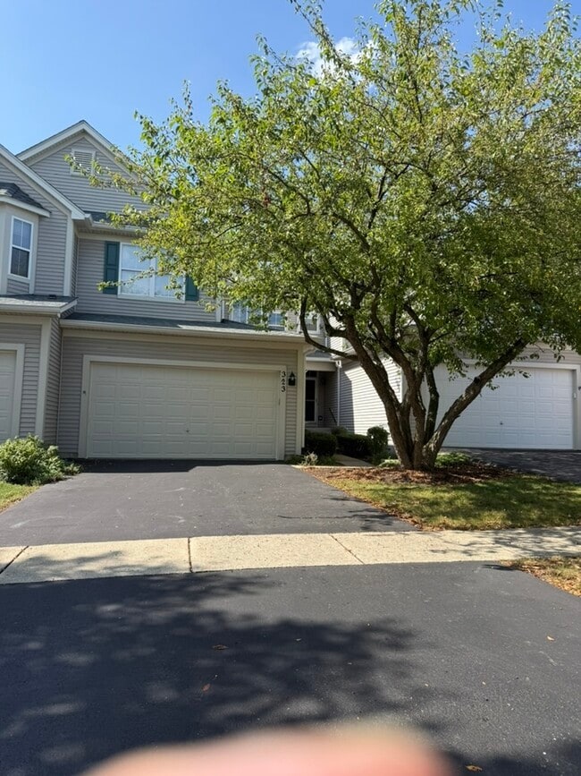 Building Photo - 323 Tower Hill Dr