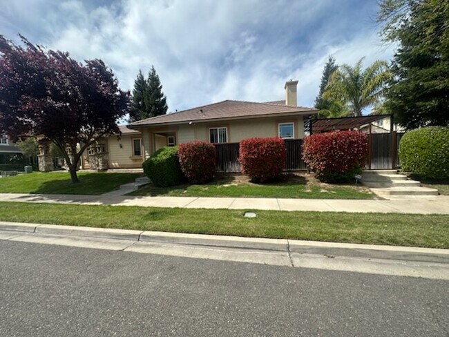 Building Photo - Nice Oakdale home on corner lot