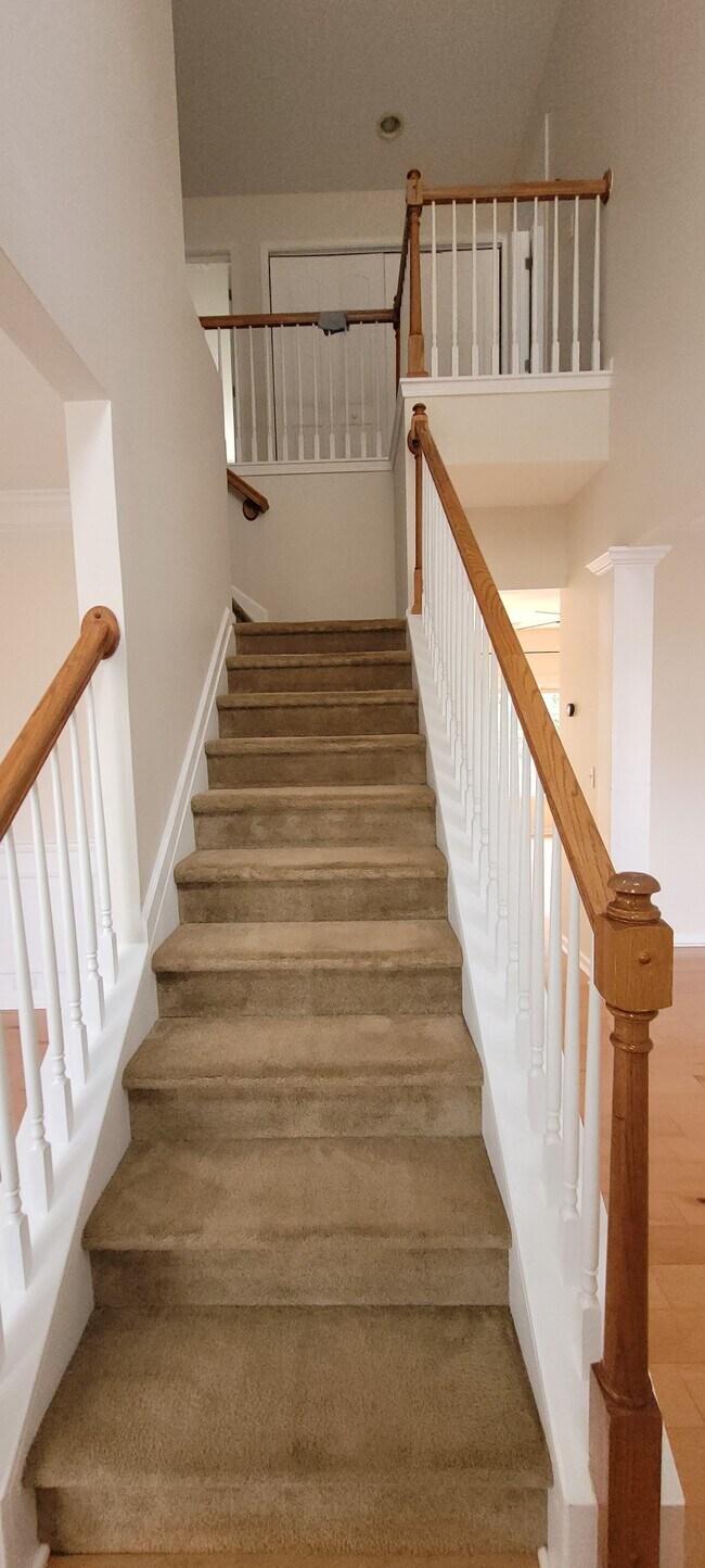 Building Photo - 341 Milhaven Dr