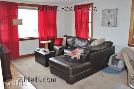 Building Photo - 1 br, 1 bath  - 58 Nathan Rd