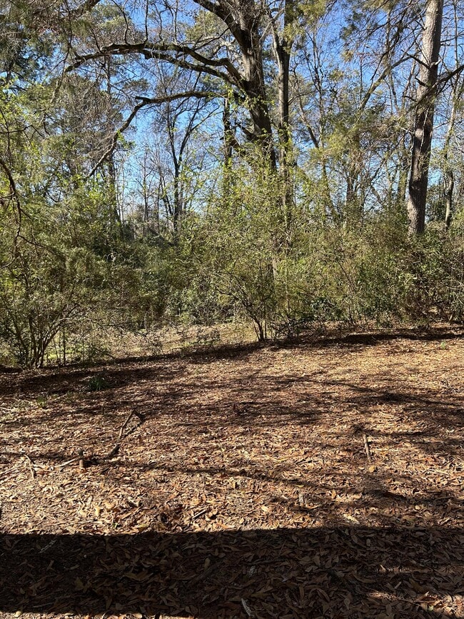 Building Photo - 204 S Hazel St