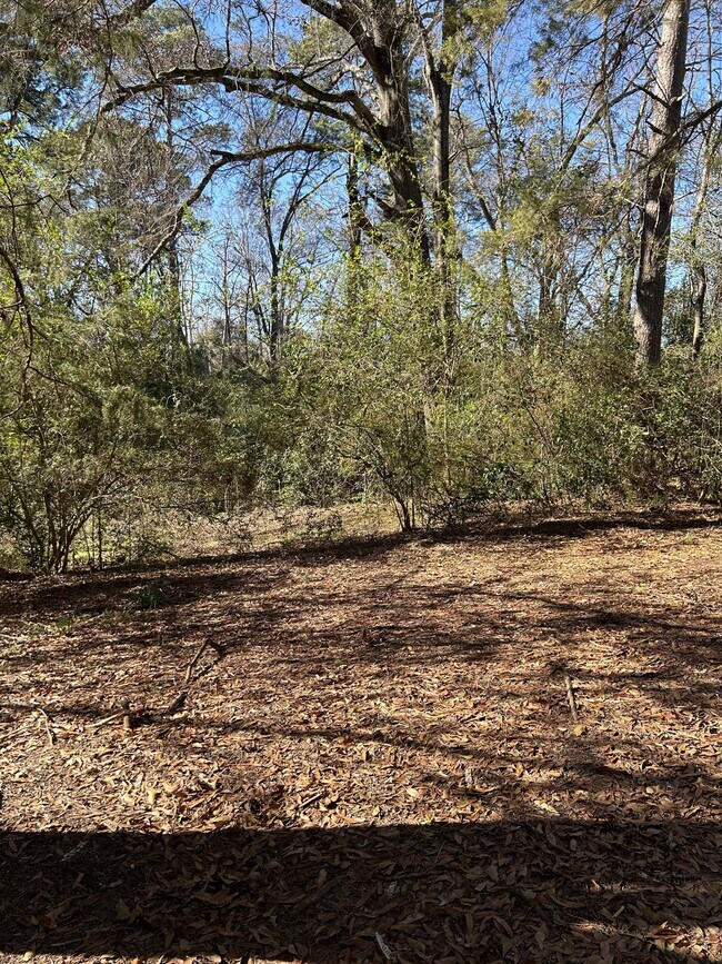 Foto del edificio - 204 S Hazel St