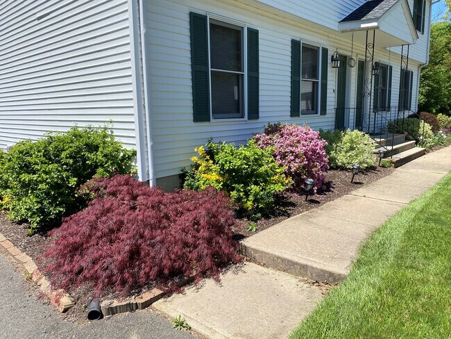 Foto del edificio - 70 70 Northampton Ln