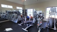 This fitness center is designed to support a comprehensive workout experience within a single-floor layout. The space is anchored by high vaulted ceilings that create an open, airy atmosphere, while large windows along the walls flood the interior with natural light and offer views of the surrounding outdoors. The rubber-floored exercise area is outfitted with a solid selection of cardio machines, including multiple treadmills and a row of LifeCycle stationary and upright bikes, providing options for users of all fitness levels. Stability balls and additional equipment are thoughtfully integrated throughout the floor space. Large mirrors line the walls, enhancing the sense of depth and allowing users to monitor their form during workouts. Additional cardio and strength training machines are visible toward the rear of the space, offering a well-rounded range of exercise options. The overall ambiance is clean, bright, and functional, making it a practical and inviting environment for daily fitness routines.