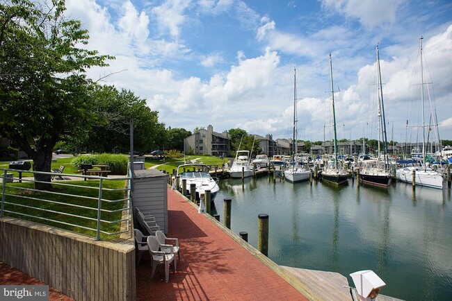 Building Photo - 7025 Chesapeake Harbour Dr E