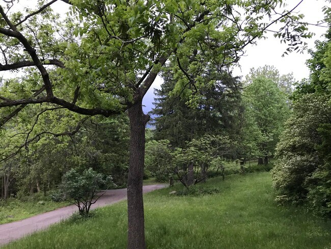 Foto del edificio - 7049 Riverside Dr