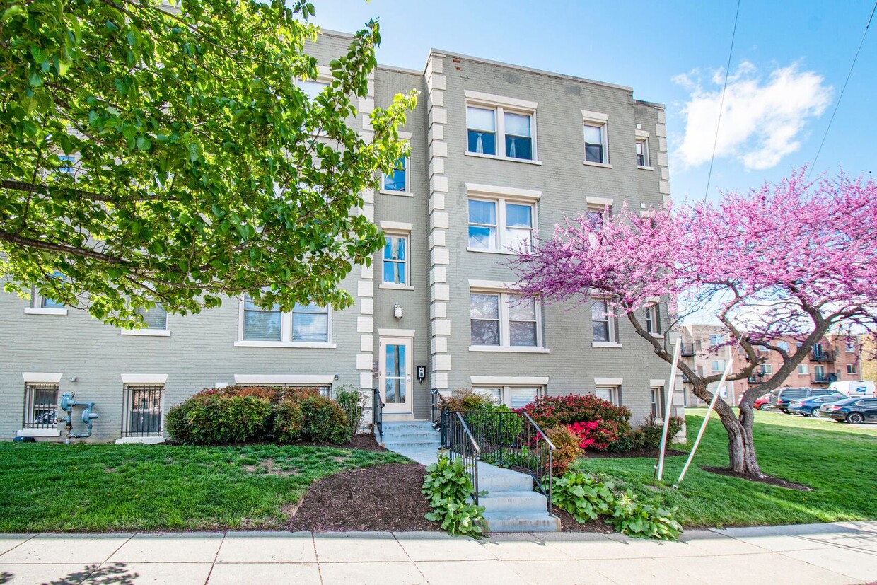 Primary Photo - Available Now! 1 Bed 1 Bath in Brookland, ...