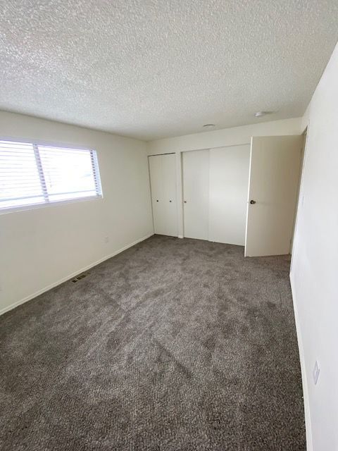 Spacious primary bedroom with large closet - 1205 W Ivy Ave