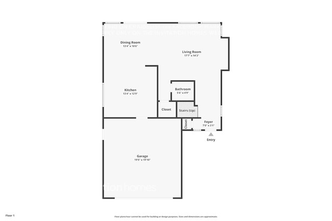 Building Photo - 339 Fall Cir