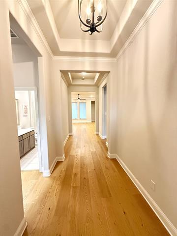 Foto del edificio - 541 Molly Ln