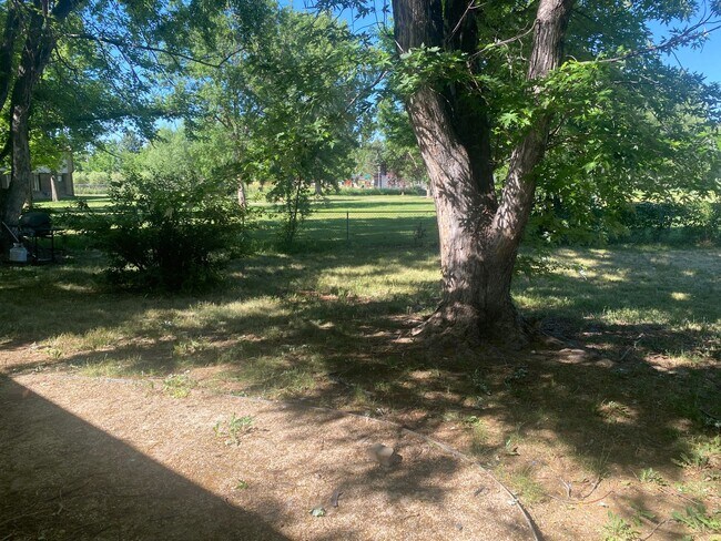 Building Photo - Newly remodeled, 2 bed, 1 bath! Backs up t...