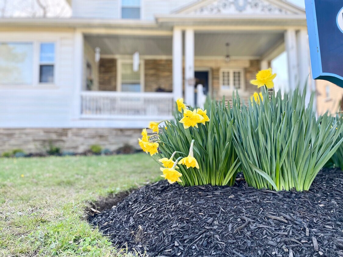 7934 Montgomery Ave, Elkins Park, PA 19027 House Rental in Elkins