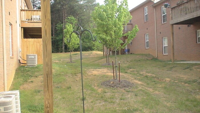 Foto del edificio - Very Nice Condo in North Knoxville