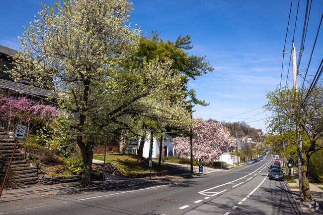 The streets of Stapleton, NY are filled with trees and residents' well-maintained front yards.