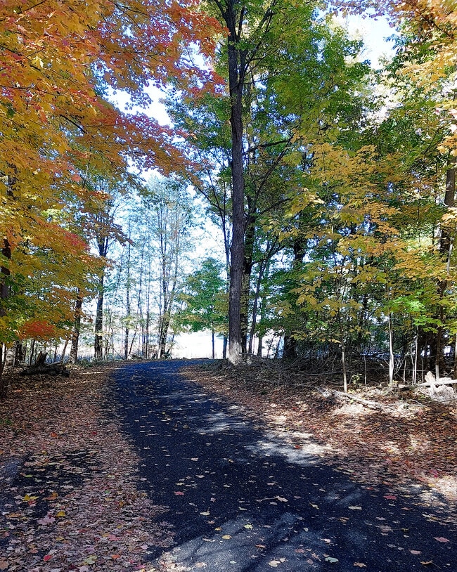 Beautiful Street - 250 Pleasant Cove Dr