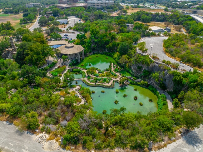 Restored in 2008, the Japanese Tea Garden regained its natural beauty.