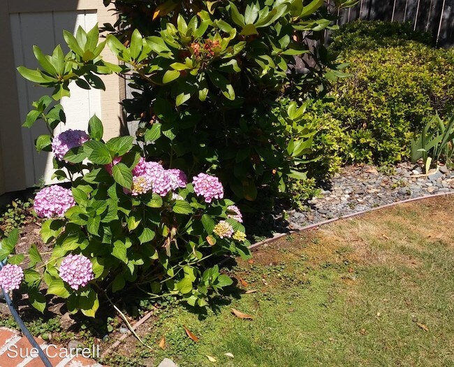 Foto del edificio - 6325 Stone Bridge Rd