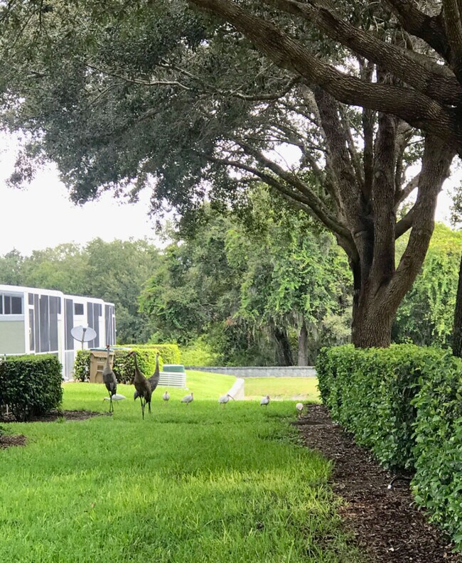 Foto del edificio - 1707 Retreat Cir