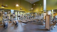 This fitness center offers a comprehensive and well-appointed workout environment designed to accommodate a wide range of exercise needs. The space is defined by its impressively high ceilings, which lend an open, airy feel to the entire floor. A row of pendant-style lighting fixtures hangs overhead, providing warm, focused illumination across the workout area.

The cardio section is prominently featured, showcasing a full lineup of treadmills equipped with individual media screens, as well as additional cardio machines such as ellipticals and step trainers. Strength and resistance equipment is also available, rounding out the facility's offerings for a complete workout experience.

Full-length mirrors line the walls, visually expanding the space while allowing users to monitor their form during exercise. The flooring is a durable, dark rubberized surface well-suited for high-traffic athletic use. The olive-green accent walls add a distinctive, energizing character to the interior design.

Ceiling fans are installed throughout, complementing the ventilation and ensuring comfort during intense workouts. The open layout provides ample room to move freely between stations, and the overall ambiance strikes a balance between a professional gym environment and an inviting, modern aesthetic.