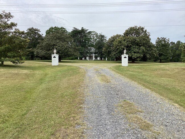 Foto del edificio - 17 Acres with enormous Magnolia trees