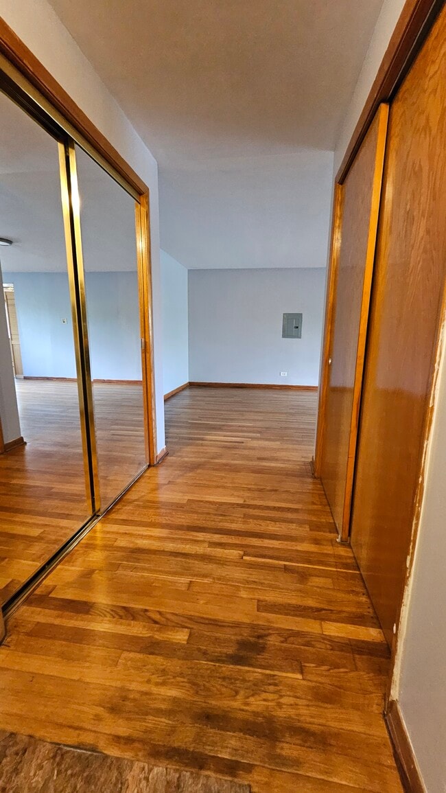 Hallway to the living room with 2 storage cabinets. - 746 Dempster St